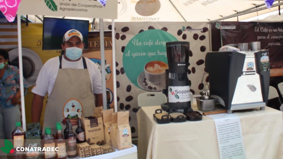 Lanzamiento De Taza De Excelencia Jinotega