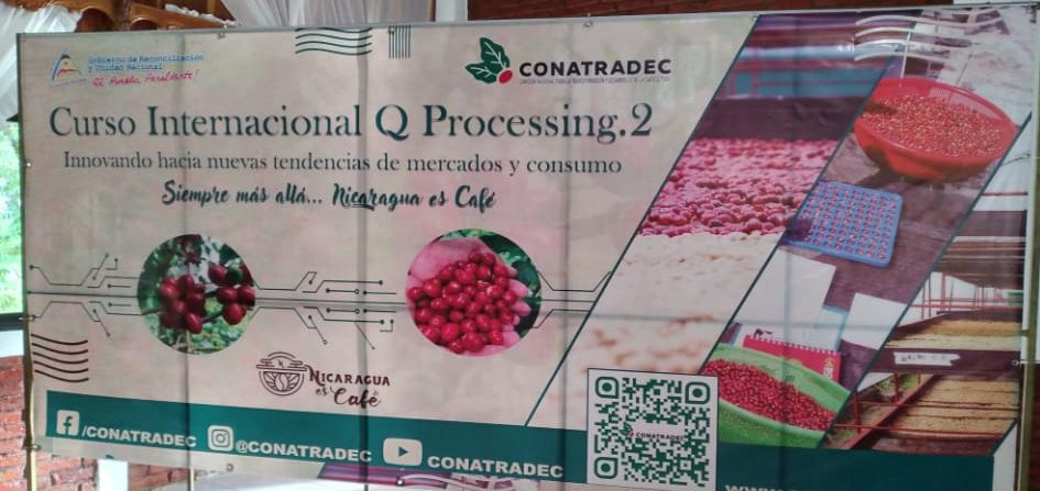 Inicio el  I Curso Internacional Q Processing.2-Nivel profesional “Innovando hacia nuevas tendencias de mercado y consumo”.