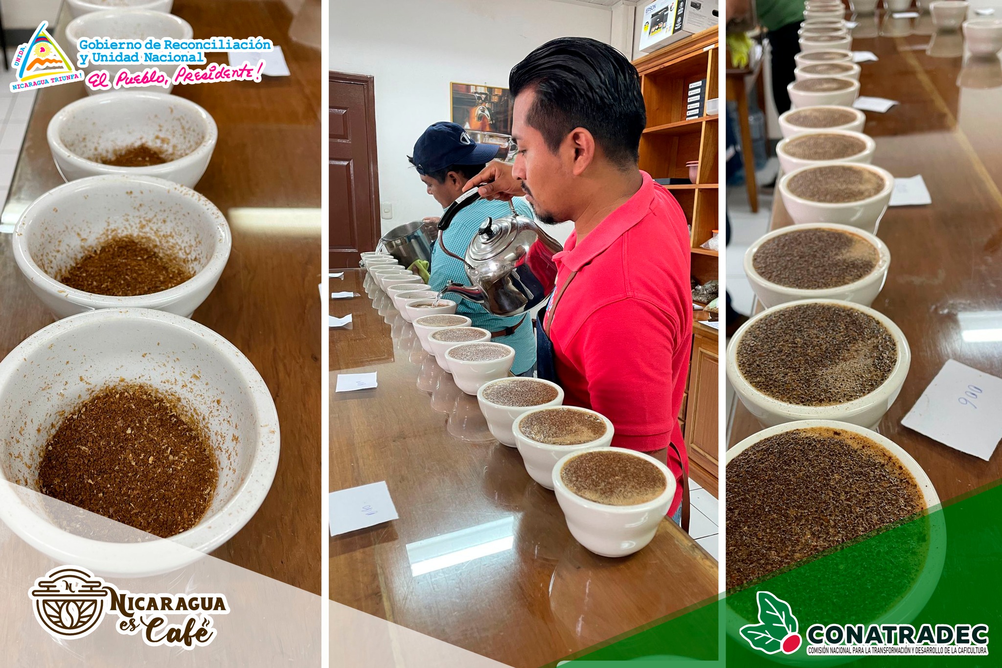 Catación de muestras de Café de los departamentos de Jinotega y Matagalpa