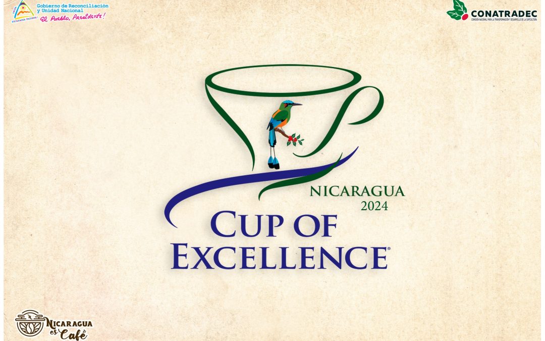Lanzamiento Oficial Taza de Excelencia Nicaragua 2024