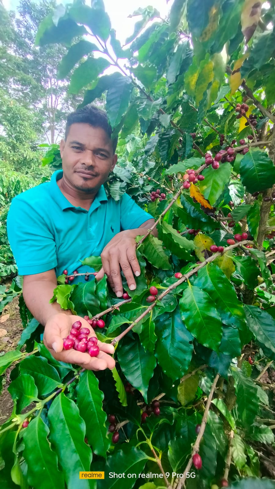 Lote en Subasta –  Evenor Antonio Rugama Pravia