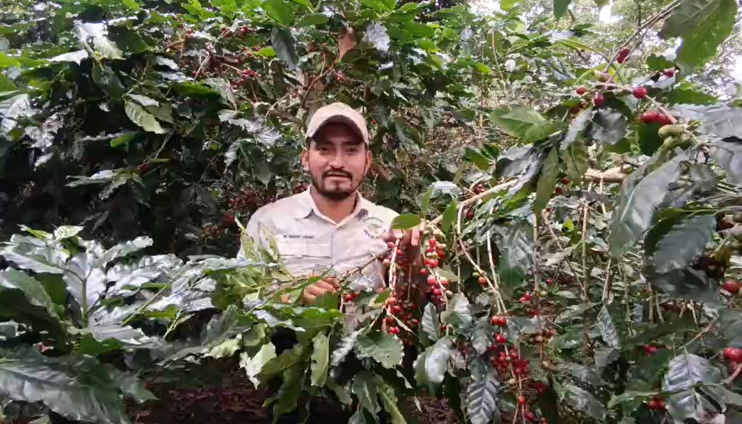 Lote en Subasta –  Ríos de Agua Viva / Domingo Guido Gonzales