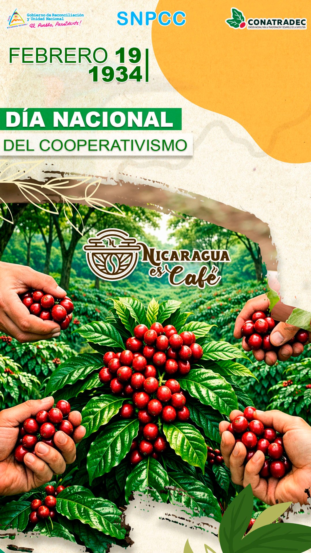 638845722 921424913740301 8039338594986184315 n