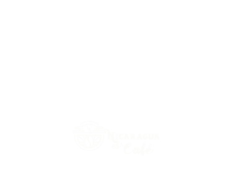 logo pies