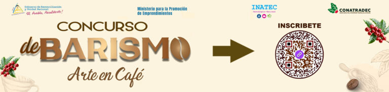 concurso barismo web