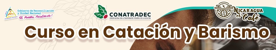 00cursos.jpg