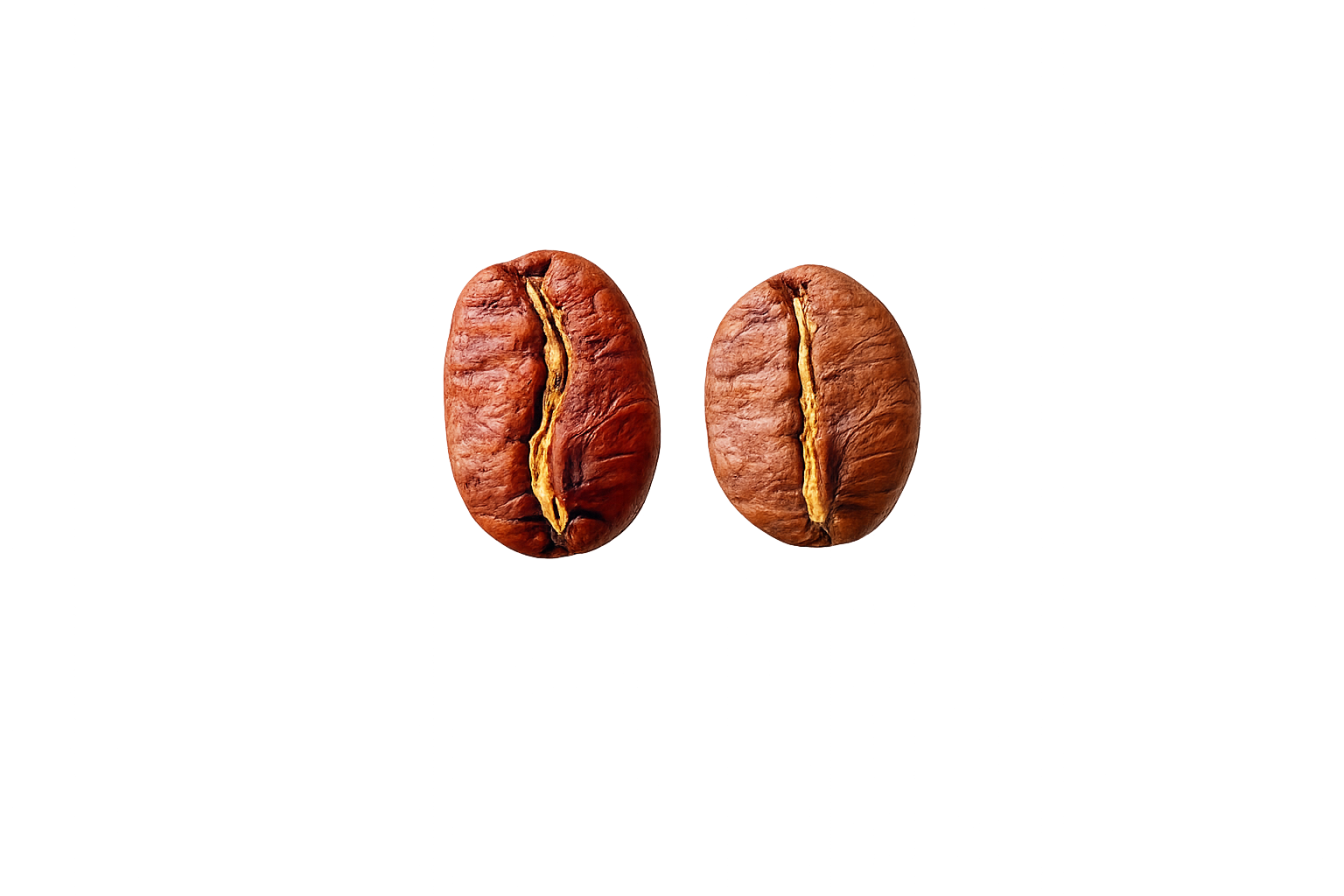 Variedades de café