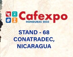Logo Feria