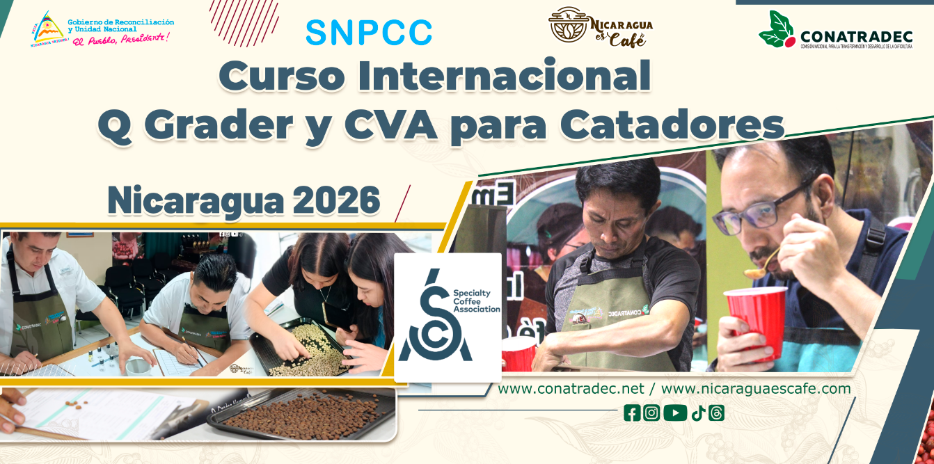 Curso Internacional Q Grader